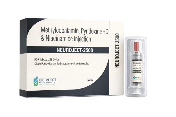 WhatsApp_Image_2026-01-29_at_3.46.46_PM__2_-removebg-preview